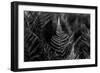 Touching the Sky-Henriette Lund Mackey-Framed Photographic Print