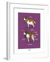 Touchouss - Le Saint-Bernard-Sylvain Bichicchi-Framed Art Print