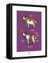 Touchouss - Le Saint-Bernard-Sylvain Bichicchi-Framed Stretched Canvas