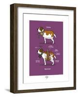 Touchouss - Le Saint-Bernard-Sylvain Bichicchi-Framed Art Print