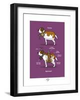 Touchouss - Le Saint-Bernard-Sylvain Bichicchi-Framed Art Print