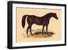 Touchstone-L. Penicaut-Framed Art Print