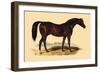 Touchstone-L. Penicaut-Framed Art Print