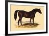 Touchstone-L. Penicaut-Framed Art Print