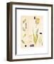 Toulon Tulip-Gaelle Cicarda-Framed Art Print