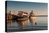 Tour Boats Lake Geneva WI-Steve Gadomski-Stretched Canvas