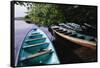 Tour Boats Moored in Ventanilla Lagoon-Danny Lehman-Framed Stretched Canvas