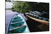 Tour Boats Moored in Ventanilla Lagoon-Danny Lehman-Stretched Canvas