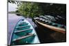 Tour Boats Moored in Ventanilla Lagoon-Danny Lehman-Mounted Photographic Print
