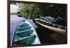 Tour Boats Moored in Ventanilla Lagoon-Danny Lehman-Framed Photographic Print