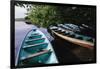 Tour Boats Moored in Ventanilla Lagoon-Danny Lehman-Framed Photographic Print