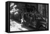 Tour Bus Under a Giant Redwood - Yosemite National Park, CA-Lantern Press-Framed Stretched Canvas