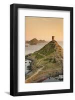 Tour De La Parata and the Islands of Iles Sanguinaires, Corsica, France, Mediterranean, Europe-Markus Lange-Framed Photographic Print