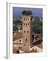 Tour Des Guinigi, Lucca, Tuscany, Italy-Bruno Morandi-Framed Photographic Print