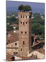 Tour Des Guinigi, Lucca, Tuscany, Italy-Bruno Morandi-Mounted Photographic Print