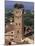 Tour Des Guinigi, Lucca, Tuscany, Italy-Bruno Morandi-Mounted Photographic Print