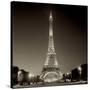 Tour Eiffel I-Alan Blaustein-Stretched Canvas