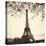 Tour Eiffel-Alan Blaustein-Stretched Canvas