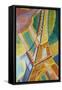 Tour Eiffel-Robert Delaunay-Framed Stretched Canvas