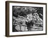 Touring Monkeys-null-Framed Premium Photographic Print