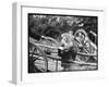 Touring Monkeys-null-Framed Premium Photographic Print