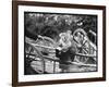 Touring Monkeys-null-Framed Photographic Print