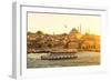 Tourist Boat Floats on the Golden Horn in Istanbul at Sunset, Turkey-Viacheslav Lopatin-Framed Photographic Print