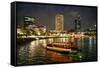 Tourist boat near the historic Boat Quay in Singapore river at dusk, Singapore-Martin Child-Framed Stretched Canvas