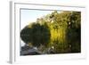 Tourist Boat on Lake Salvador, Manu National Park, Peru, South America-Peter Groenendijk-Framed Photographic Print