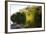 Tourist Boat on Lake Salvador, Manu National Park, Peru, South America-Peter Groenendijk-Framed Photographic Print