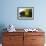 Tourist Boat on Lake Salvador, Manu National Park, Peru, South America-Peter Groenendijk-Framed Photographic Print displayed on a wall