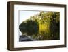 Tourist Boat on Lake Salvador, Manu National Park, Peru, South America-Peter Groenendijk-Framed Photographic Print