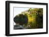 Tourist Boat on Lake Salvador, Manu National Park, Peru, South America-Peter Groenendijk-Framed Photographic Print