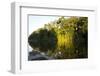 Tourist Boat on Lake Salvador, Manu National Park, Peru, South America-Peter Groenendijk-Framed Photographic Print