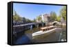 Tourist Boat on the Keizersgracht Canal, Amsterdam, Netherlands, Europe-Amanda Hall-Framed Stretched Canvas