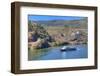 Tourist boat, vineyards and the Douro River, Alto Douro Wine Valley, UNESCO World Heritage Site, Po-Richard Maschmeyer-Framed Photographic Print