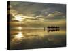 Tourist Camel Train on Cable Beach at Sunset, Broome, Kimberley Region, Western Australia-David Wall-Stretched Canvas
