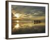 Tourist Camel Train on Cable Beach at Sunset, Broome, Kimberley Region, Western Australia-David Wall-Framed Photographic Print