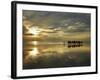 Tourist Camel Train on Cable Beach at Sunset, Broome, Kimberley Region, Western Australia-David Wall-Framed Photographic Print