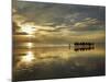 Tourist Camel Train on Cable Beach at Sunset, Broome, Kimberley Region, Western Australia-David Wall-Mounted Photographic Print