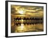 Tourist Camel Train on Cable Beach at Sunset, Broome, Kimberley Region, Western Australia-David Wall-Framed Photographic Print