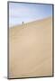 Tourist Climbing Te Paki Sand Dunes on 90 Mile Beach, Northland, North Island, New Zealand, Pacific-Matthew Williams-Ellis-Mounted Photographic Print