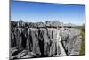 Tourist crossing a rope bride, Grand Tsingy, Tsingy du Bemaraha National Park, UNESCO World Heritag-Christian Kober-Mounted Photographic Print