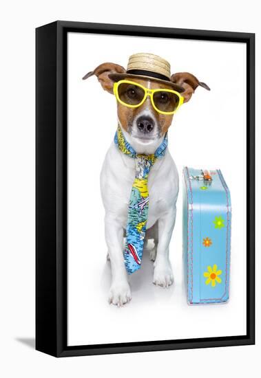 Tourist Dog With A Hat A Tie And A Case-Javier Brosch-Framed Stretched Canvas