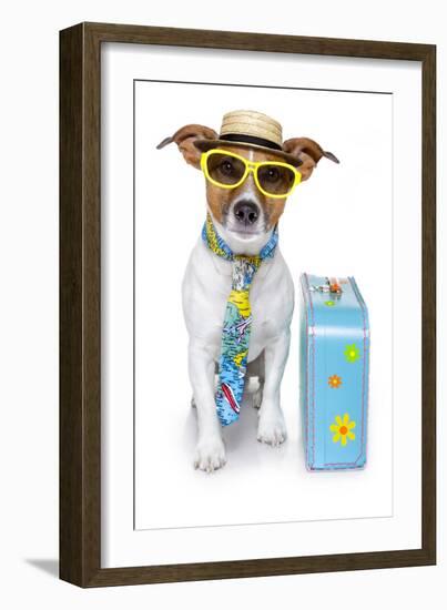 Tourist Dog With A Hat A Tie And A Case-Javier Brosch-Framed Photographic Print