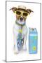 Tourist Dog With A Hat A Tie And A Case-Javier Brosch-Mounted Photographic Print