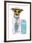 Tourist Dog With A Hat A Tie And A Case-Javier Brosch-Framed Photographic Print