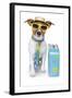 Tourist Dog With A Hat A Tie And A Case-Javier Brosch-Framed Photographic Print