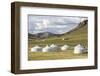 Tourist ger camp and Khangai mountains, Burentogtokh district, Hovsgol province, Mongolia, Central-Francesco Vaninetti-Framed Photographic Print