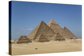 Tourist Horsecart in Foreground, the Giza Pyramids, Giza, Egypt, North Africa, Africa-Richard Maschmeyer-Stretched Canvas